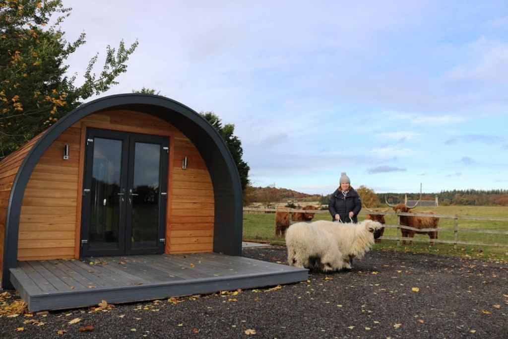 Glampods Glamping Pod - Meet Highland Cows And Sheep Elgin Villa Kültér fotó