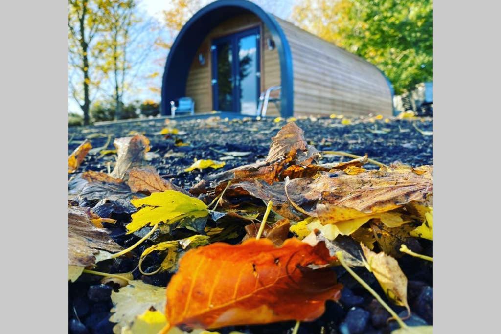 Glampods Glamping Pod - Meet Highland Cows And Sheep Elgin Villa Kültér fotó